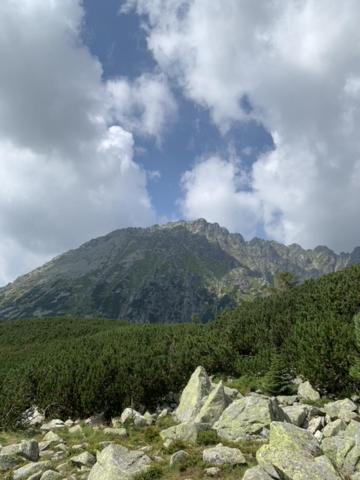 Appartamento Gosciniec W Zakopanem Esterno foto